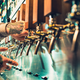 Illustration for article titled Are New Jerseys new brewery regulations too restrictive?em/em